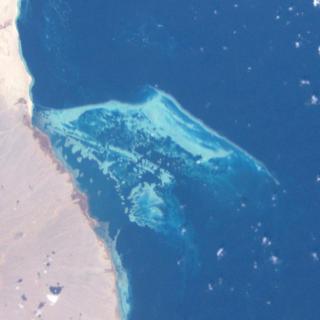 エジプトのミレアル諸島(Mirear Island)。