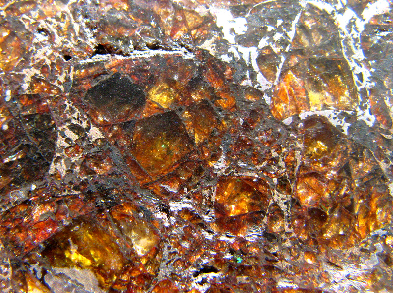 ブラヒン隕石（パラサイト）