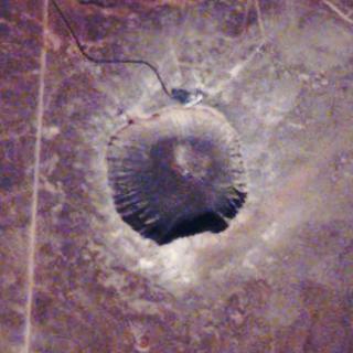 衛星写真。バリンジャー・クレーター。