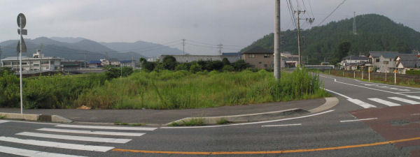 ���������t��