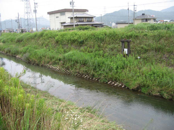 ���H��̐�