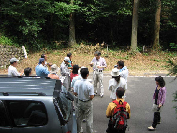 ��������̌���