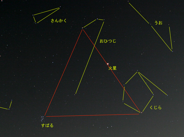 �����̈ʒu