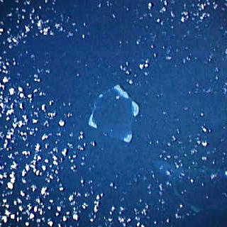 南沙諸島の北東部のジャクソン環礁(Jackson Atoll)、または、キリノ(Quirino)。