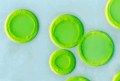 プロクロロン (Prochloron) 光学顕微鏡写真